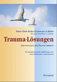 Titelbild von Trauma-Lösungen – Grundlagen zur Trauma-Arbeit